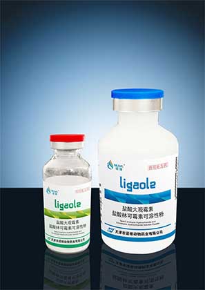盐酸大观霉素盐酸林可霉素可溶性粉